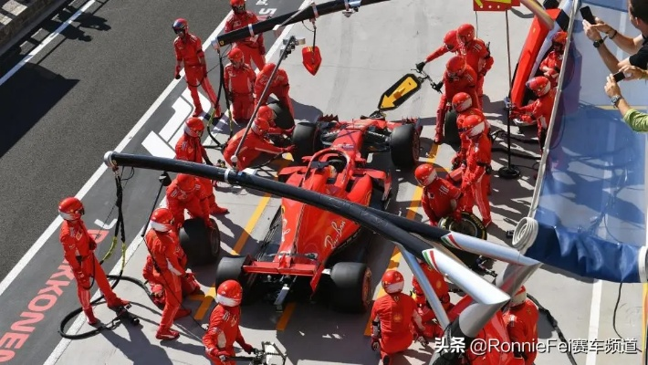 F1赛车巴西正赛运营新人必须掌握的10个高效方法